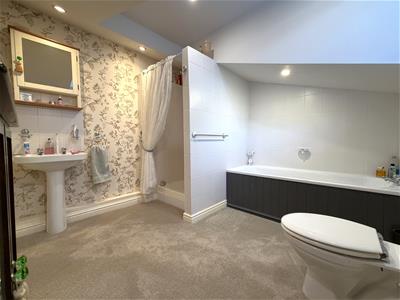 Picture 19